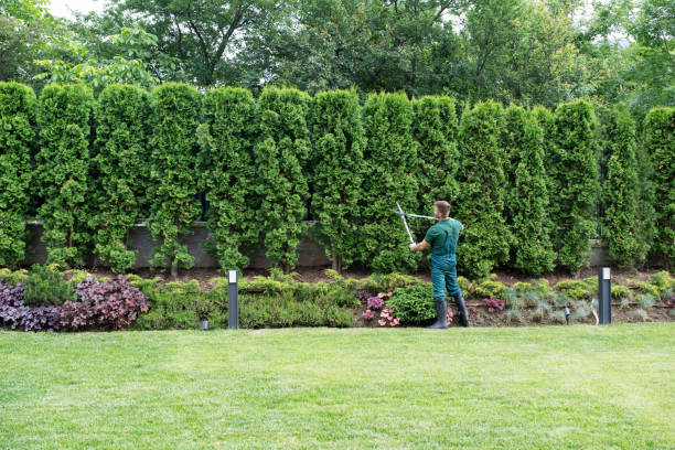 Leaf Removal in Milford, MI